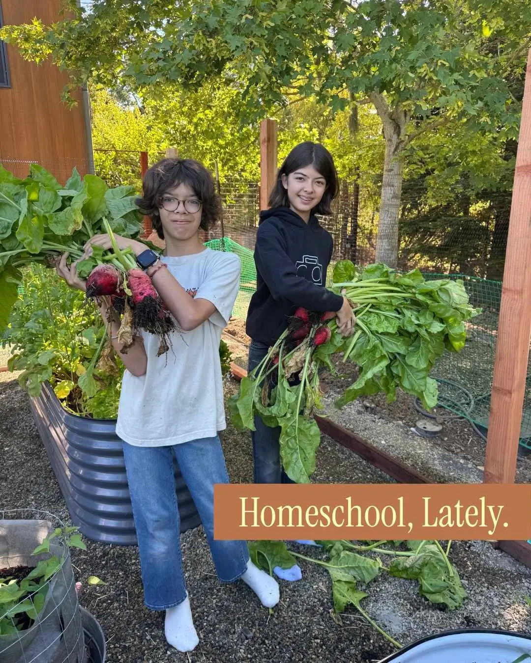 Why Homeschooling Became Part of Our Family and Business Story