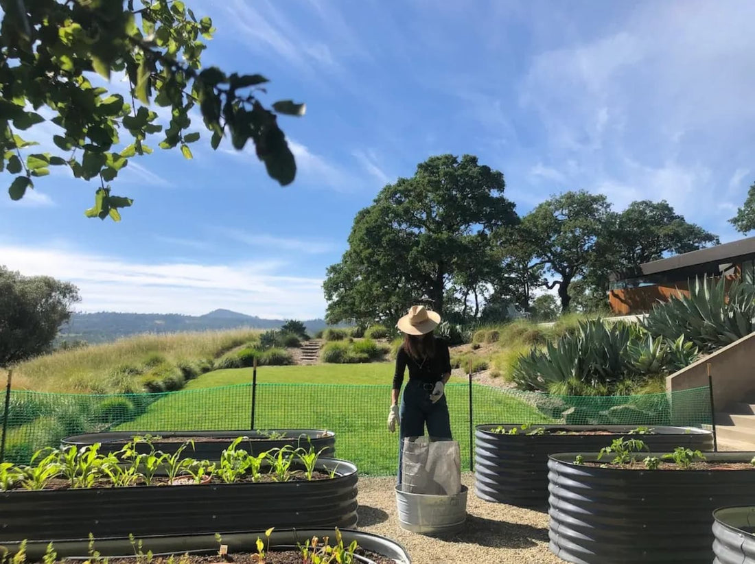 StereoType Kids founder Elizabeth Brunner tending raised garden beds, reflecting on growth, entrepreneurship, sustainability, and the connection between gardening and building a purpose-driven business.