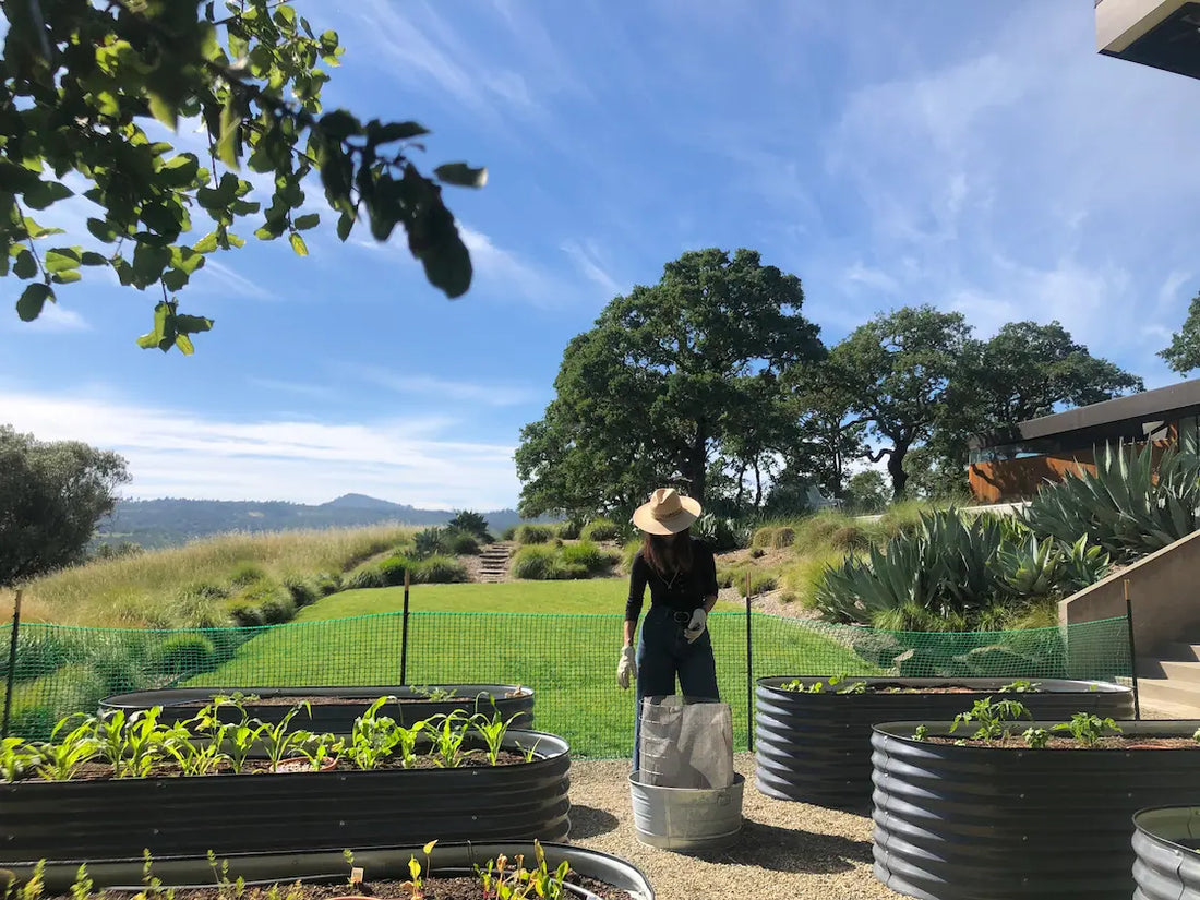 StereoType Kids founder Elizabeth Brunner tending raised garden beds, reflecting on growth, entrepreneurship, sustainability, and the connection between gardening and building a purpose-driven business.